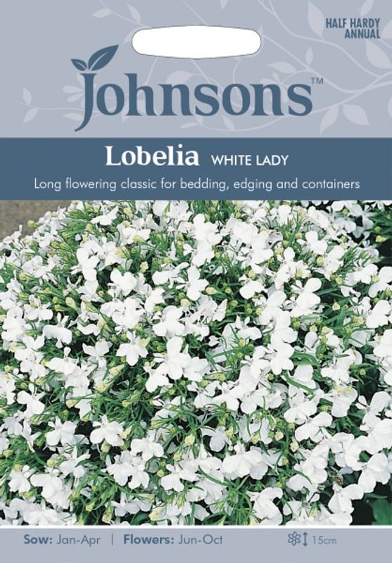 Lobelia 'White Lady’ - Kantlobelia