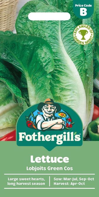 Hovedbilde Romanosalat 'Lobjoits Green Cos' - Lactuca