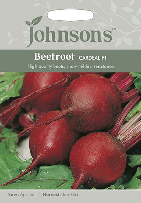 Hovedbilde Rødbete 'Cardeal - Beta vulgaris