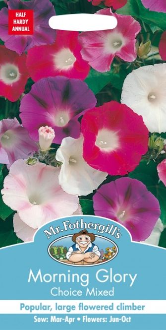 Hovedbilde Purpurvindel 'Choice Mixed’ - Ipomoea purpurea