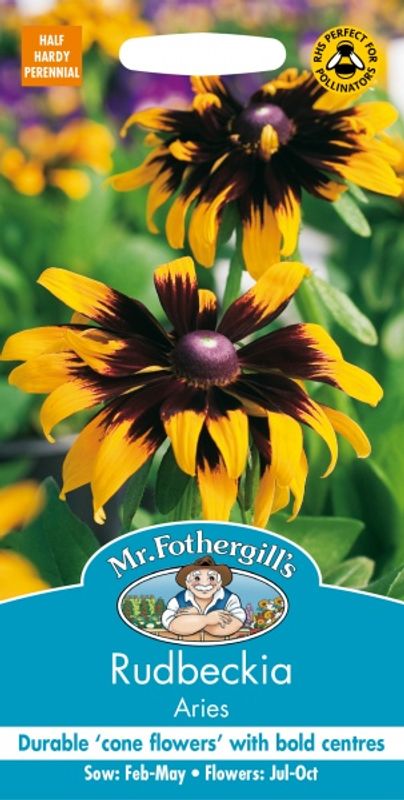 Lodnesolhatt 'Aries' - Rudbeckia hirta