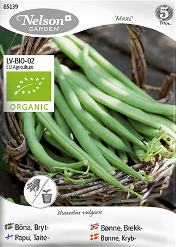 Brekkbønne 'Maxi' - Organic