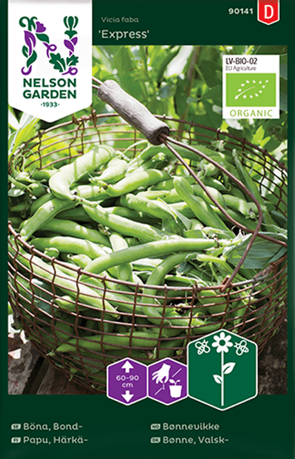 Hovedbilde Bondebønne 'Express' - Vicia faba, Organic