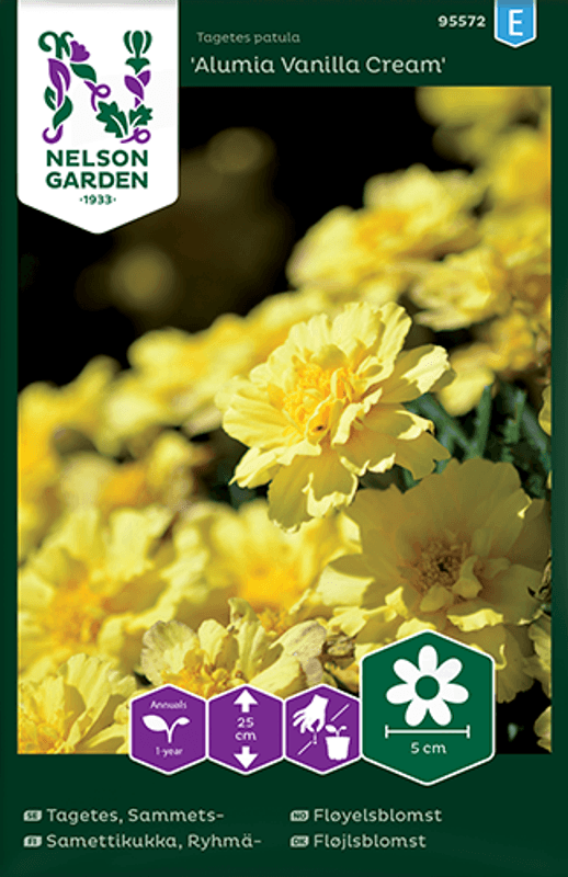 Fløyelsblomst 'Alumia Vanilla Cream' - Tagetes patula
