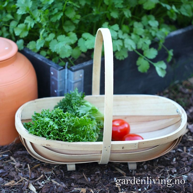Sponkurv - Wodden trug, stor