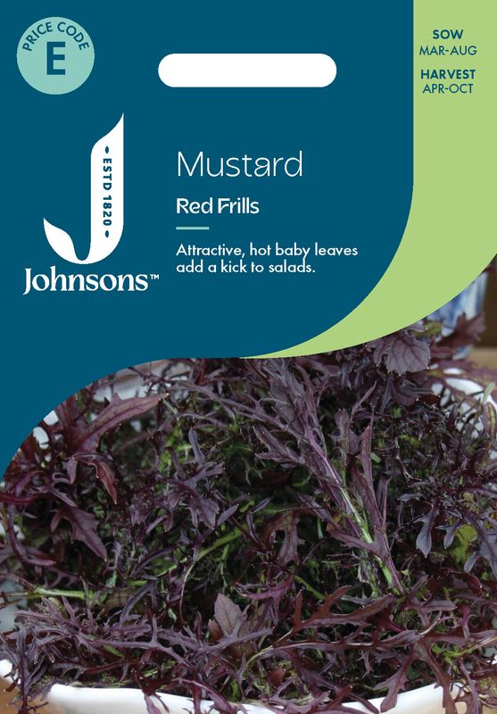 Sareptasennep 'Red Frills' -  Brassica juncea