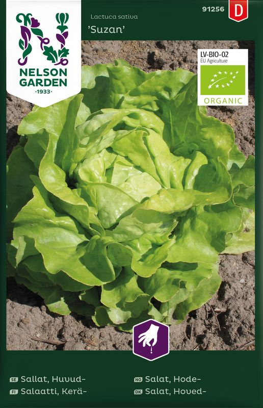 Hodesalat 'Suzan', organic - Lactuca