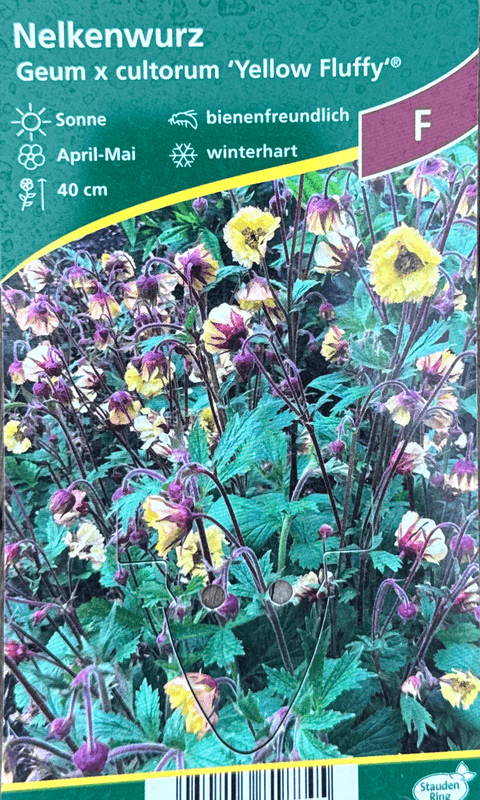 Hagehumleblom 'Fluffy Yellow' ® - Geum