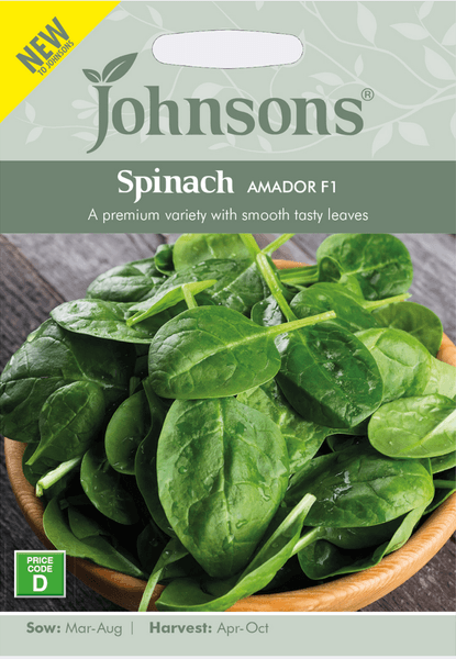 Hovedbilde Spinat 'Amador' F1 - Spinacia oleracea