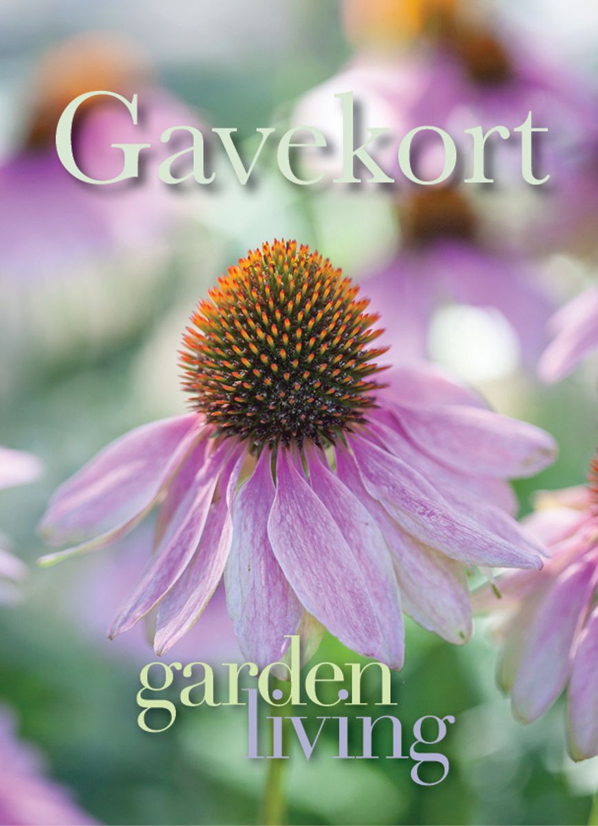 Gavekort