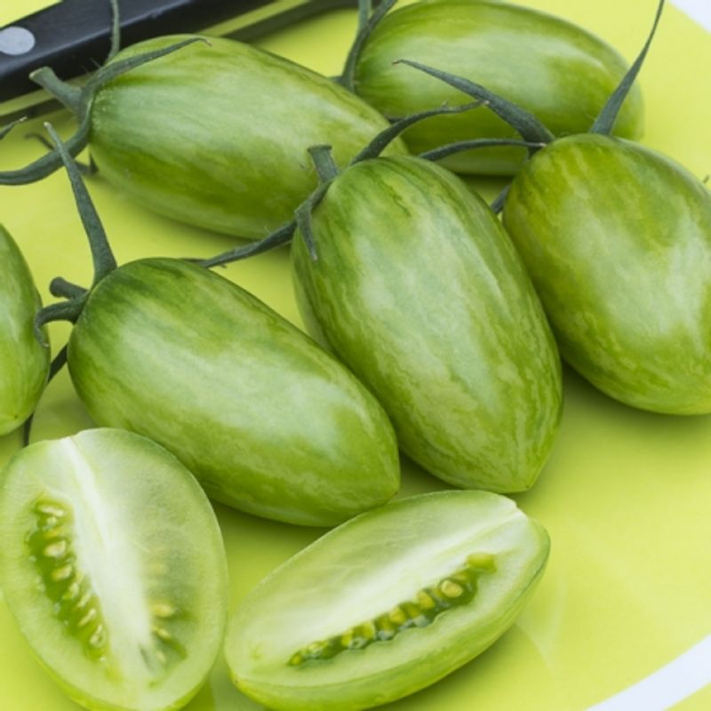 Frilandstomat 'Artisan Green Tiger' - Lycopersicon lycopersicum