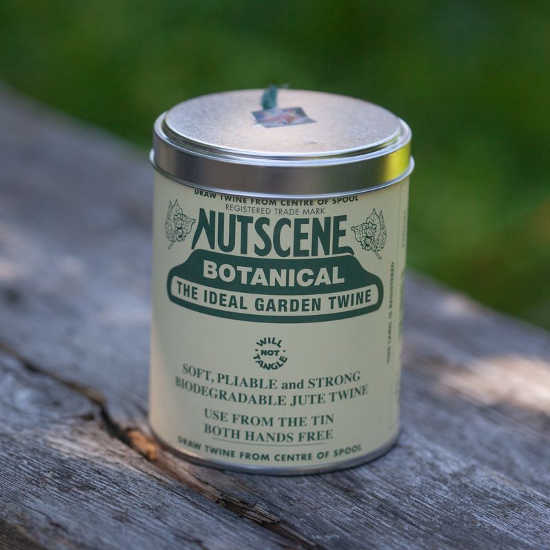 NC Hyssing på boks - Botanical