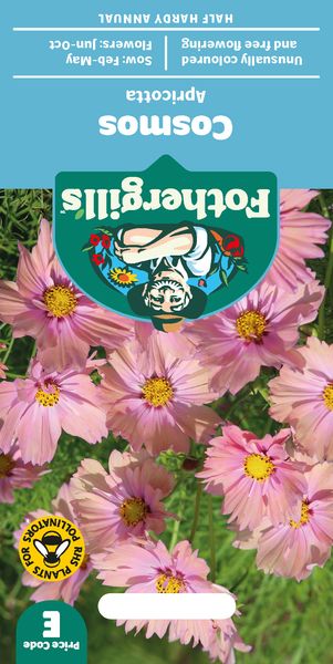 Hovedbilde Pyntekorg 'Apricotta' - Cosmos bipinnatus