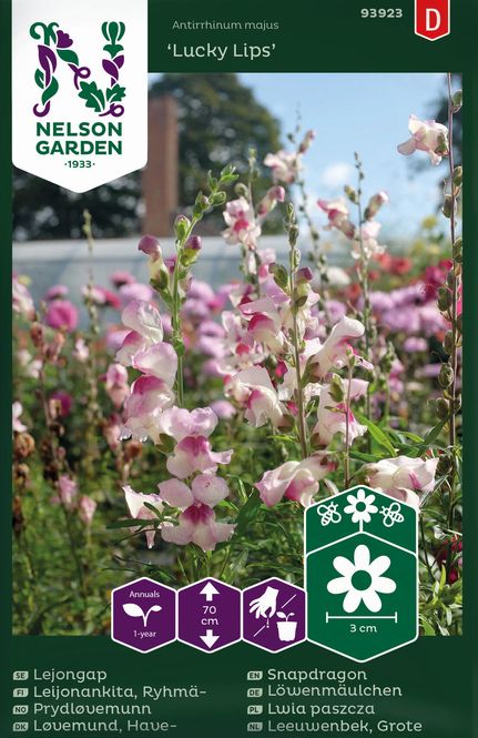 Hovedbilde Løvemunn 'Lucky Lips’ - Antirrhinum majus