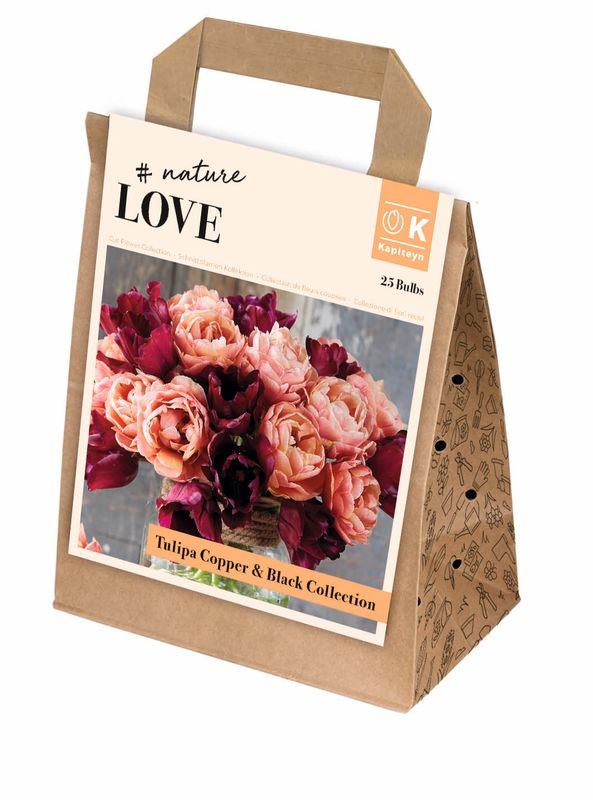 Bukett kolleksjon, Bouquet tulip copper and black - 25 stk