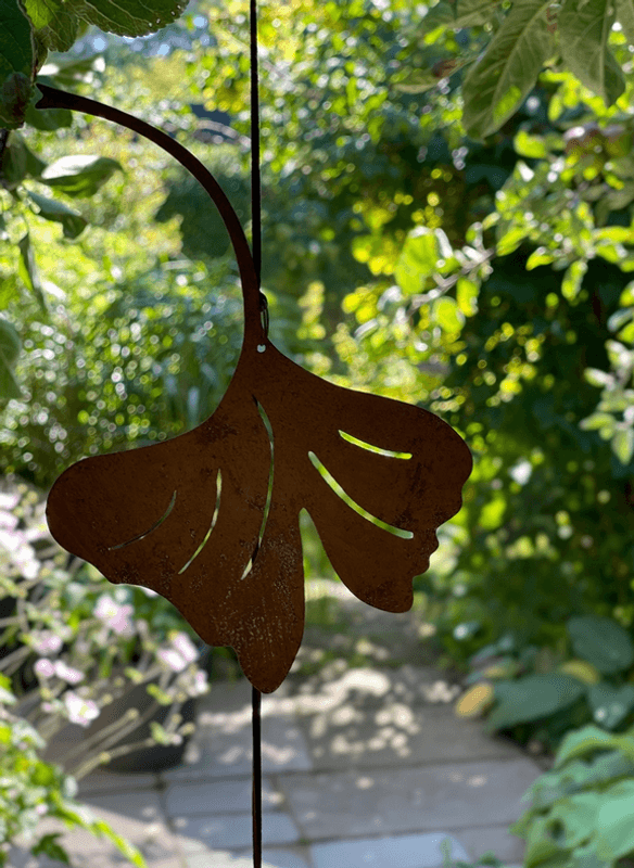 Uro - Ginkgo