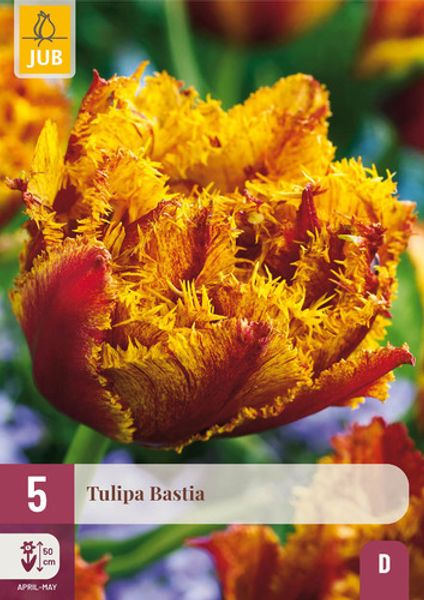 Hovedbilde Tulipan 'Bastia’,  Frynsetulipan  - 5 stk