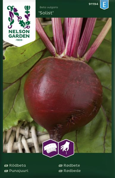 Hovedbilde Rødbete 'Solist', Frøbånd - Beta vulgaris
