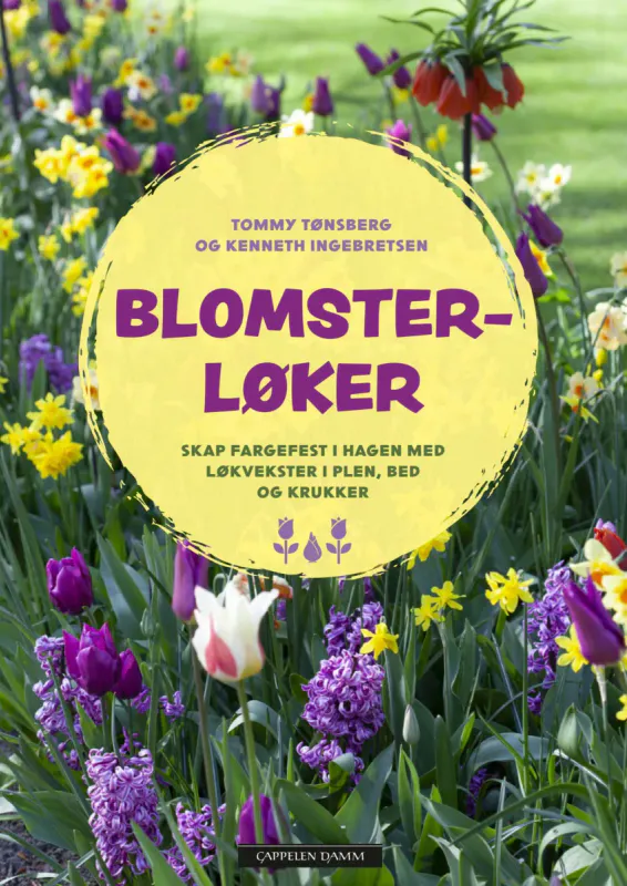 Blomsterløker - skap fargefest i hagen med løkvekster