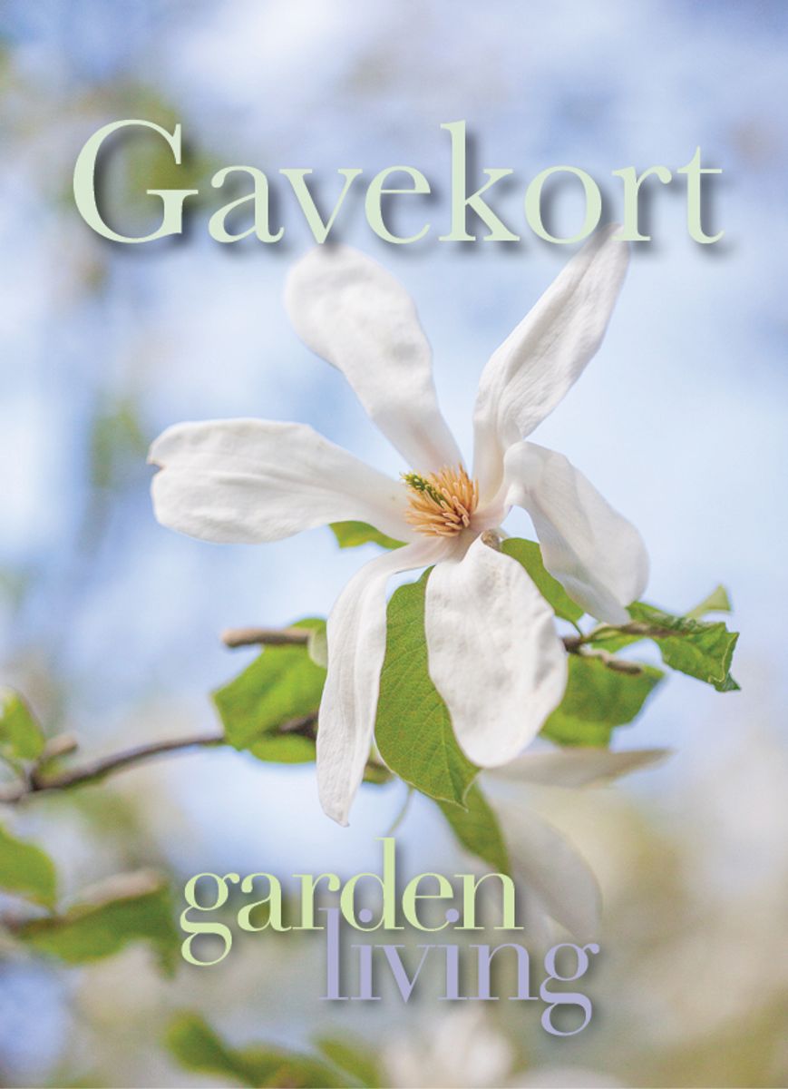Gavekort