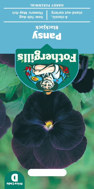 Stemorsblomst 'Blackjack' - Viola 