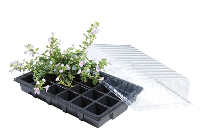 Hovedbilde Miniveksthus - 24 celler, 3-pakk