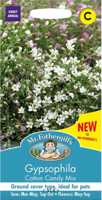 Hovedbilde Murslør 'Cotton Candy Mix' - Gypsophila muralis