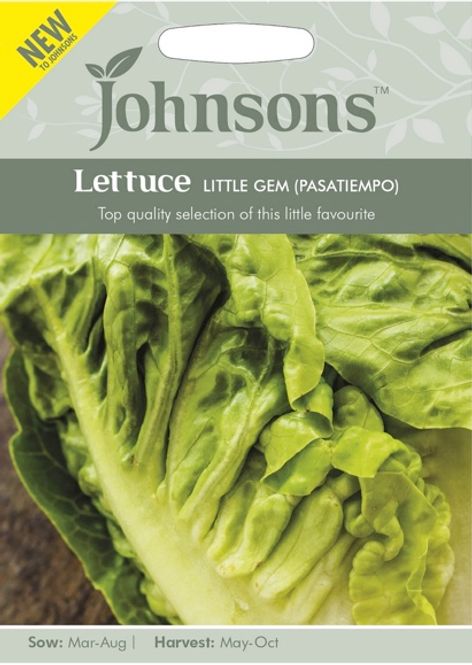 Hovedbilde Romanosalat 'Little Gem' (Pasatiempo) - Lactuca