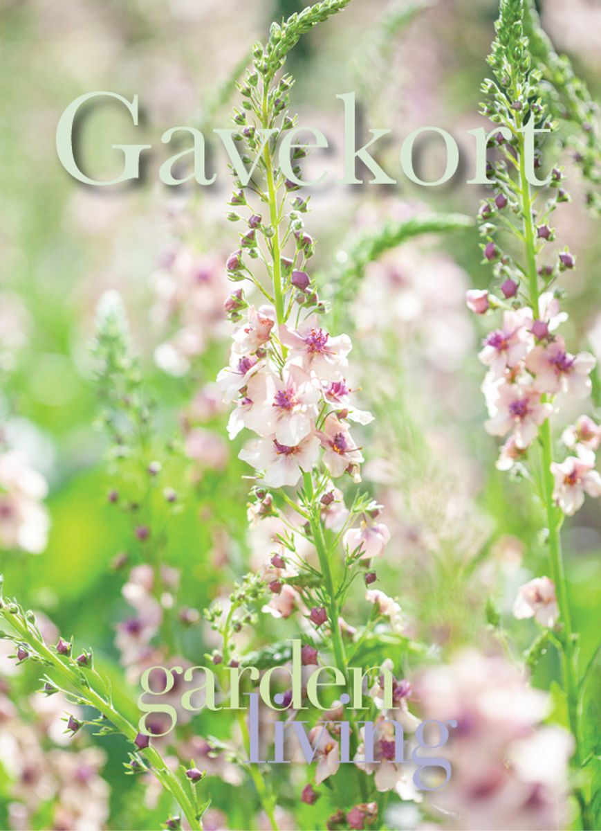 Gavekort