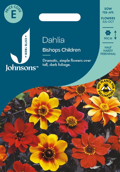 Hovedbilde Georgine 'Bishops Children' - Dahlia