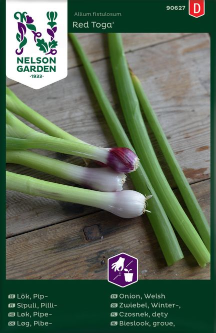 Hovedbilde Vårløk 'Red Toga' - Allium fistulosum