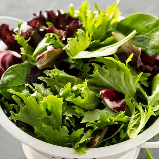 Hovedbilde Bladsalat 'Tuscany II Baby Leaves' 