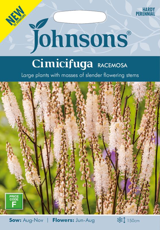 Klaseormedrue - Actaea racemosa