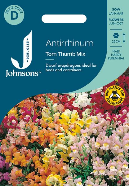 Hovedbilde Løvemunn 'Tom Thumb Mixed' - Antirrhinum majus