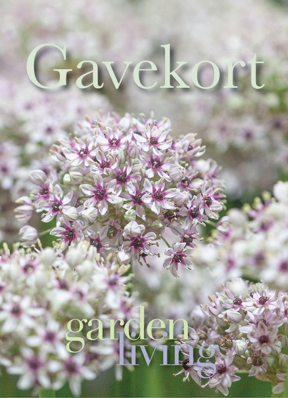 Gavekort