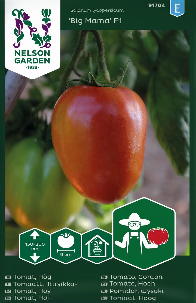 Drivhustomat 'Big Mama' F1 - Lycopersicon lycopersicum