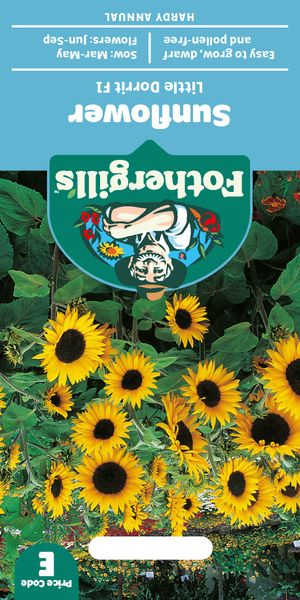 Hovedbilde Solsikke 'Little Dorrit' F1 - Helianthus annuus