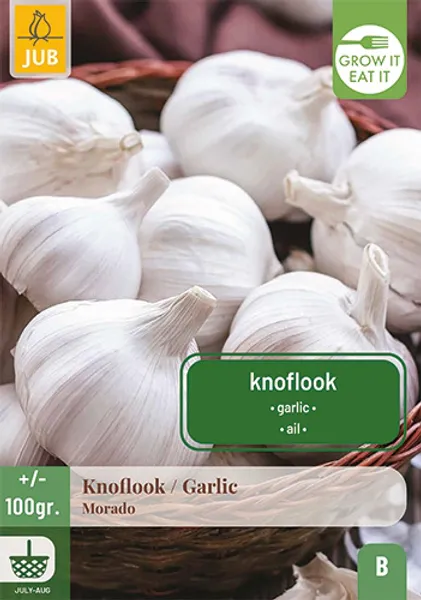 Hovedbilde Hvitløk - 'Morado'