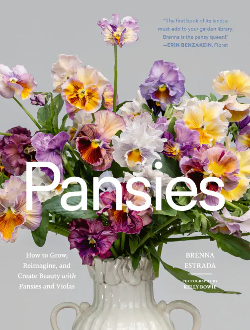 Hovedbilde Pansies - Brenna Estrada