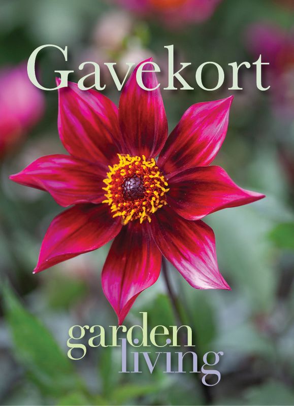 Gavekort