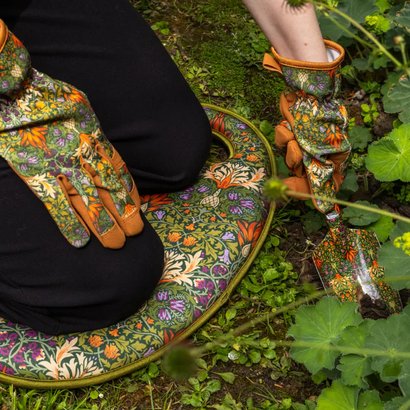 Hageknelepute – William Morris - Snakeshead