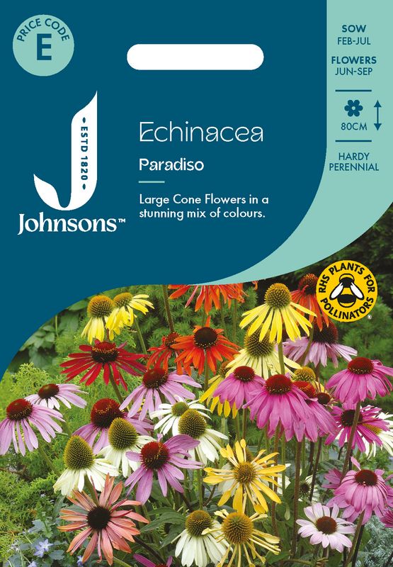 Purpursolhatt 'Paradiso’ - Echinacea purpurea 