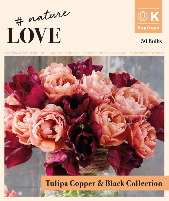 Bukett kolleksjon, Bouquet tulip copper and black - 25 stk