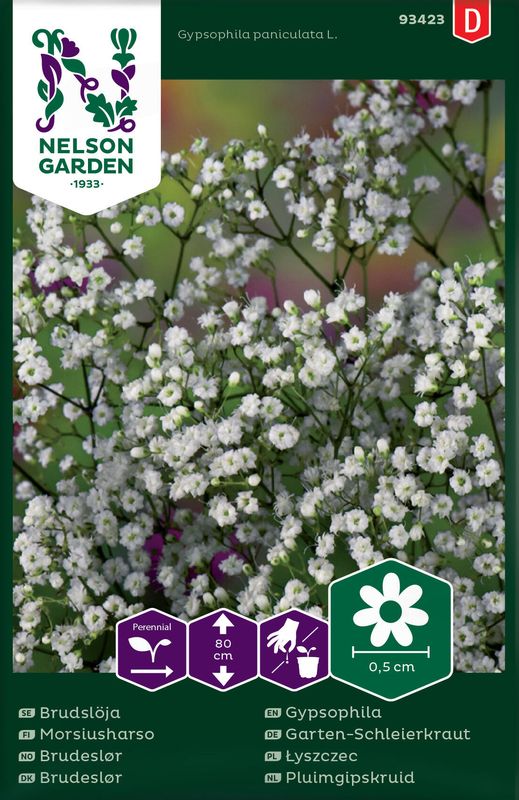 Brudeslør - Gypsophila paniculata L.