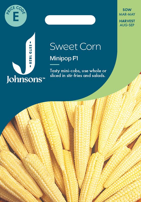 Mais 'Minipop1 F1 - Zea mays 