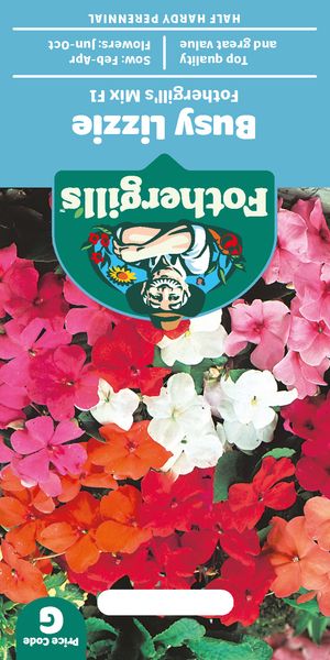 Hovedbilde Flittiglise 'Mr. F's Mixed' F1 - Impatiens walleriana 