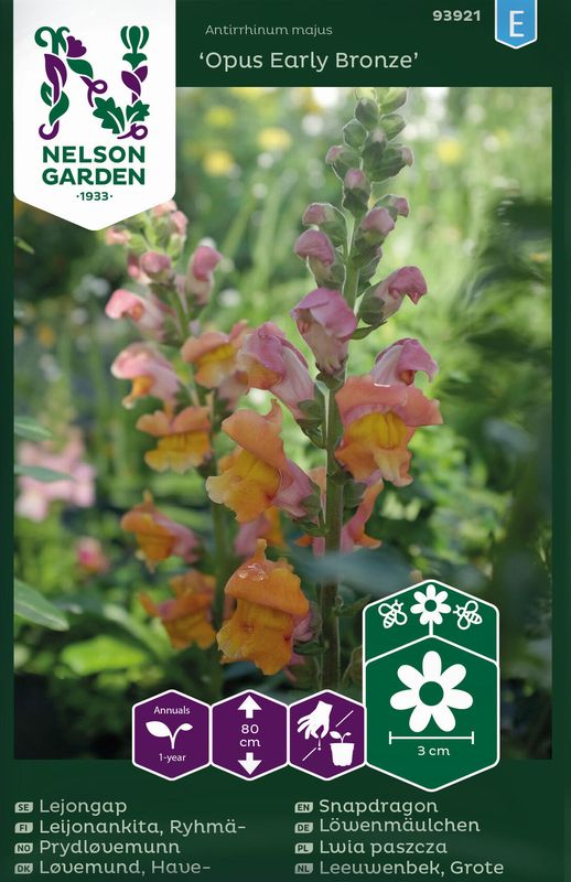 Løvemunn 'Opus™ Early Bronze’ - Antirrhinum majus