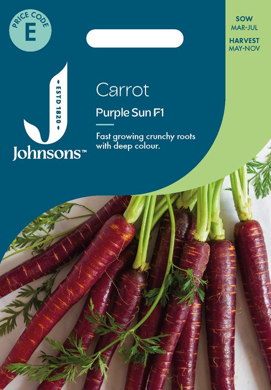 Gulrot 'Purple Sun’ F1 - Daucus carota 